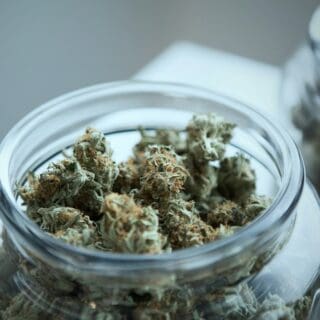 green cannabis on clear glass jar for birthday celebration