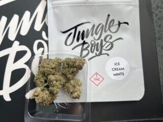 Jungle Boys