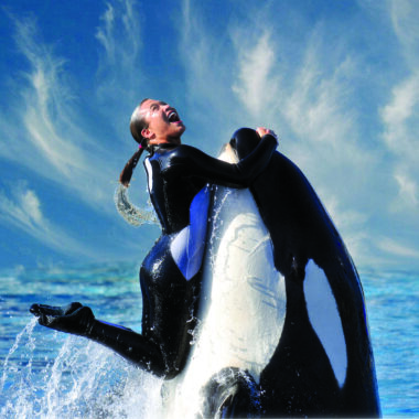 SeaWorld San Diego during teacher trip