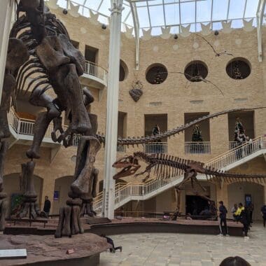 Fernbank Museum of Natural History