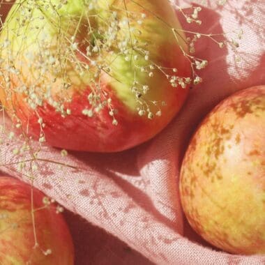 Apple Homeschool