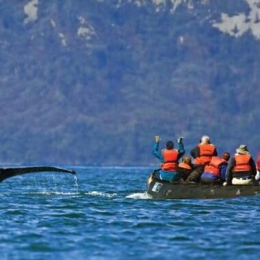 Nat Geo Expedition
