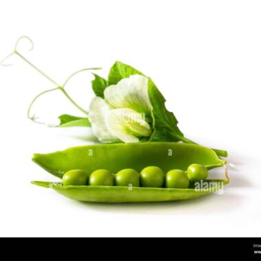 Pea In The Pod