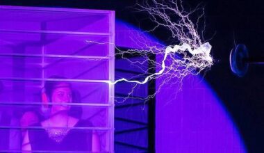 Rochester Science Museum Membership