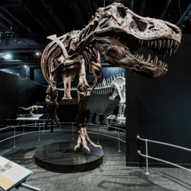 Cosi Museum