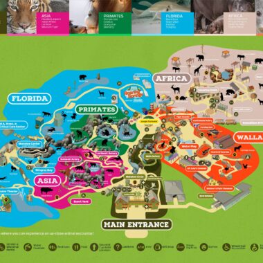 Zootampa