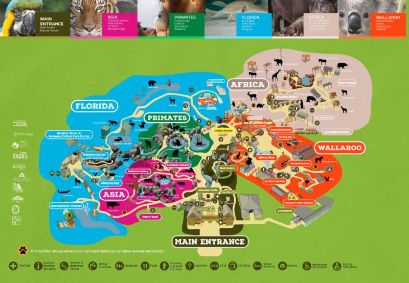 Zootampa